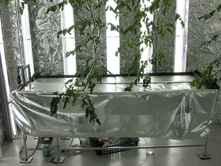 Illustration for article titled Visiting an Underground Garden Built in a Former Bank Vault Under Tokyo
